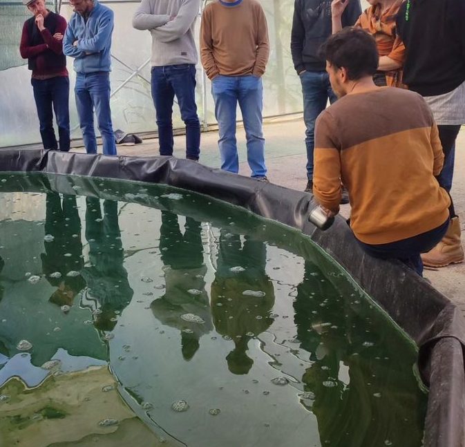 Bassin de spiruline Bio