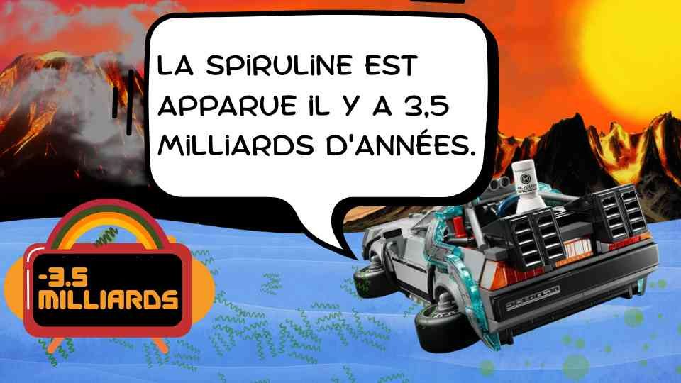 Bassin de spiruline Bio Bassin de spiruline Bio