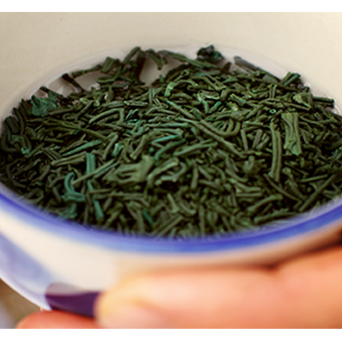 Spiruline sportif
