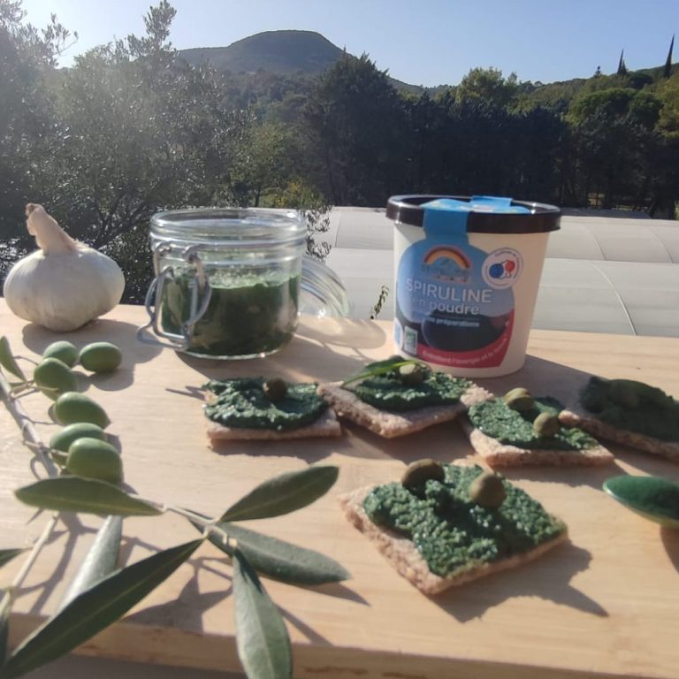 Bassin de spiruline Bio