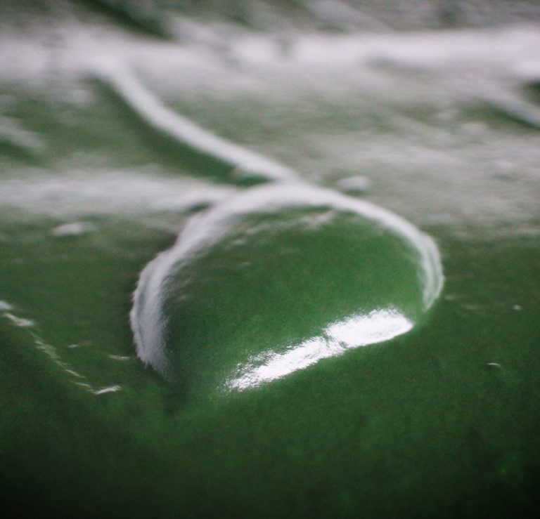 Spiruline Bio
