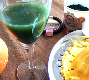ferme bio spiruline gard