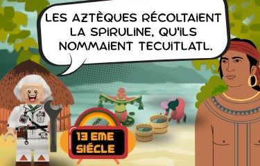 récolte de spiruline par les aztèques
