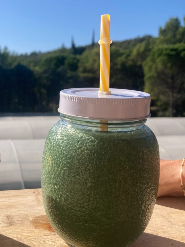 recette de spiruline