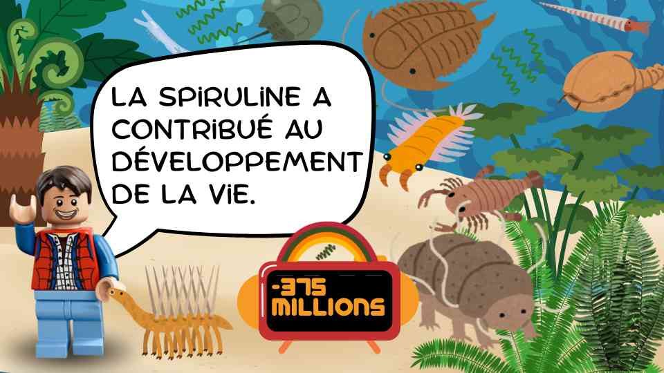 Bassin de spiruline Bio Bassin de spiruline Bio