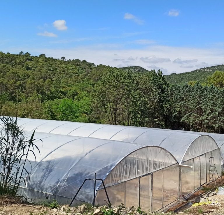 Ferme Française de spiruline Bio