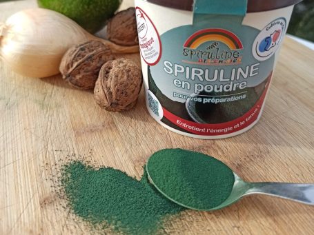 recette de spiruline 